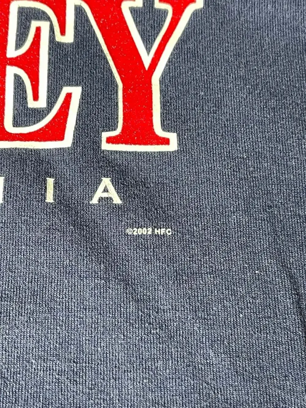Vintage 2002 Hershey Pennsylvania Flavor of Fun Graphic T-Shirt XL - Picture 2 of 5